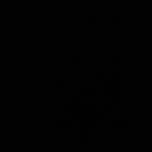 Meet your Posher, Maggie